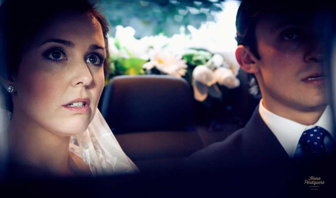 Teresa Perdiguero - Boda de Sara y Luis